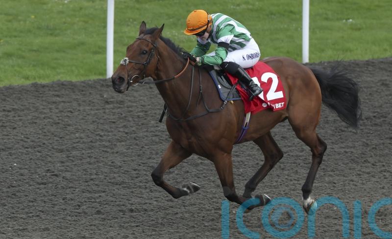 Duty Of Care powers clear for emphatic Queen’s Prize victory