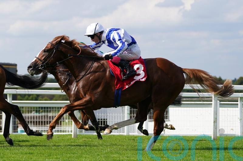 Devil’s Point takes Djebel test on seasonal bow