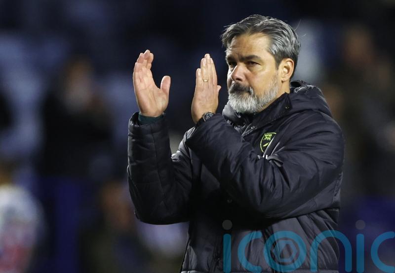 Norwich ‘not ruthless’ enough in Sheffield Wednesday draw – David Wagner