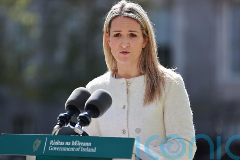 Helen McEntee says tougher knife crime sentences are a ‘preventative measure’