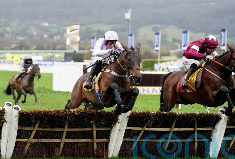 Golden Ace in imperious form on return to Cheltenham