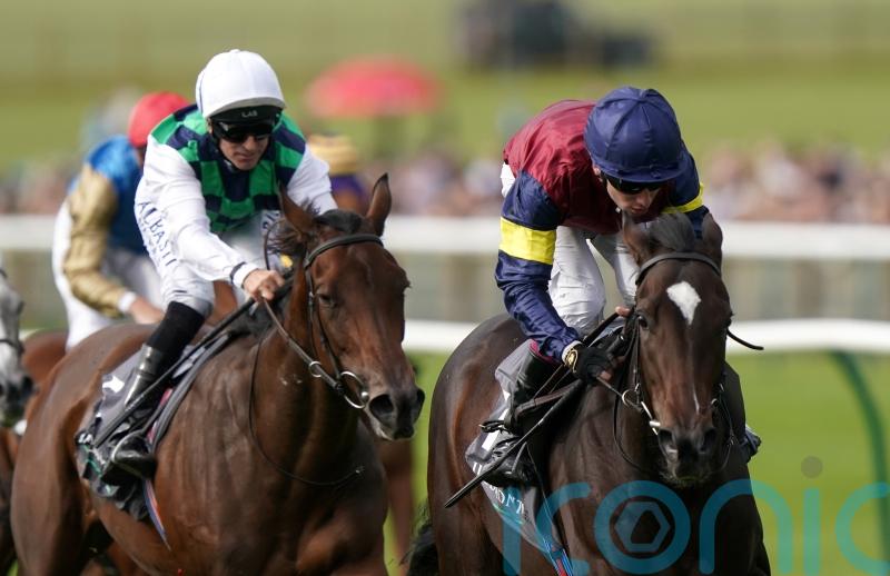 Porta Fortuna on course for 1000 Guineas