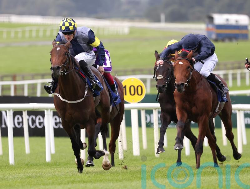O’Brien Epsom raider has Rock-solid form credentials