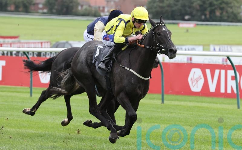 Beautiful Diamond aiming to sparkle in Palace House
