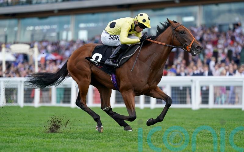 Hannon keen to head to the Curragh with Guineas duo