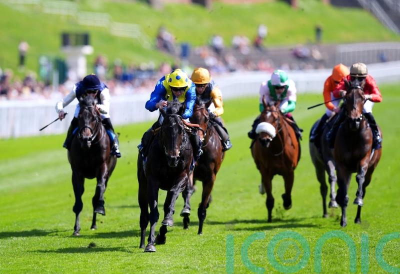 Never So Brave looks smart prospect in the making with Chester success
