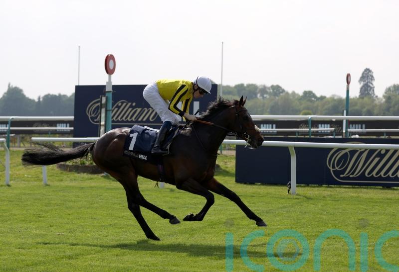 ‘Relentless’ Ambiente Friendly puts down Derby marker in Lingfield victory