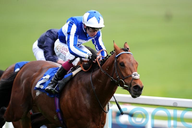 Bellum Justum carrying King Power hopes in the Derby