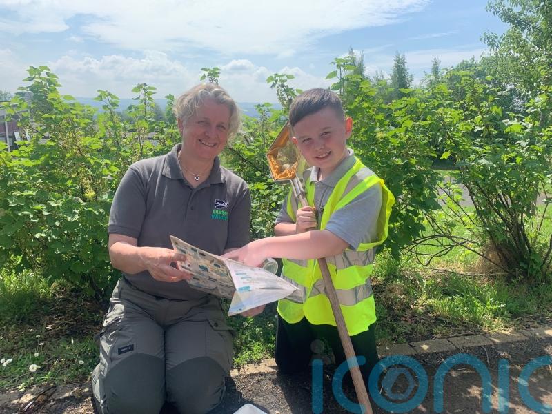 West Belfast boy discovers Northern Ireland’s first recorded water stick insect