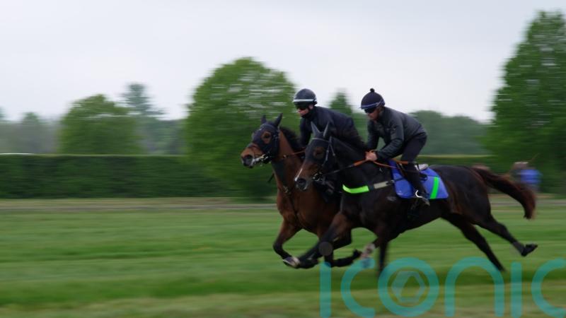 Asfoora team eager to start British adventure with Temple of zoom