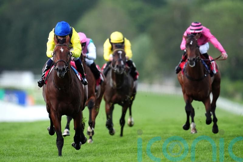 Promising Almaqam makes an impression in Heron Stakes