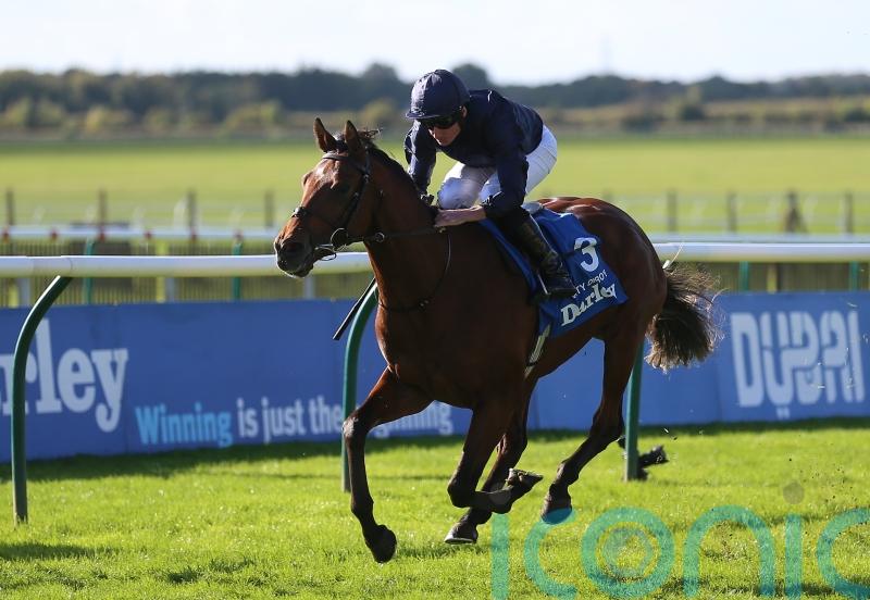 O’Brien: City Of Troy and Ylang Ylang all set for Epsom