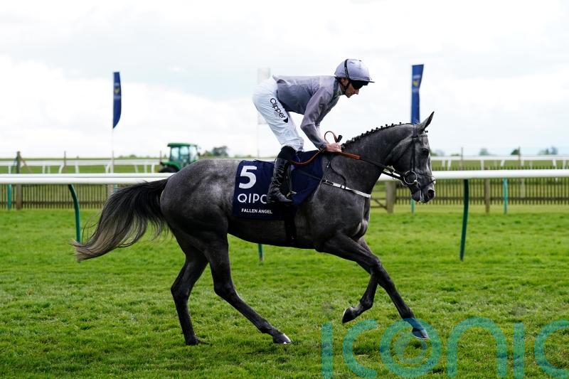 Setback means Fallen Angel absent from Coronation Stakes