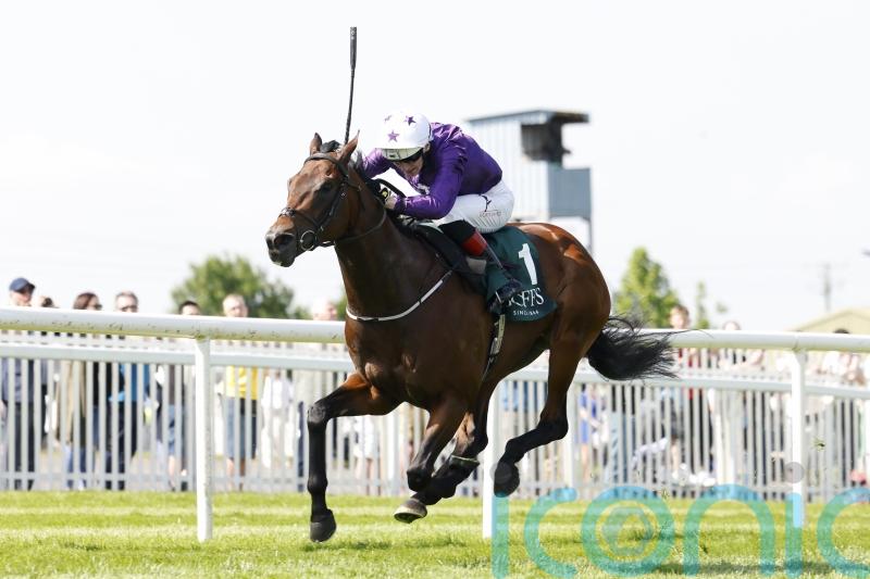 Bucanero Fuerte ruled out of Commonwealth Cup