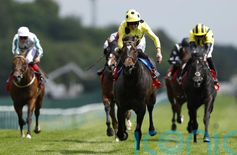 Inisherin right where connections want him for Commonwealth Cup