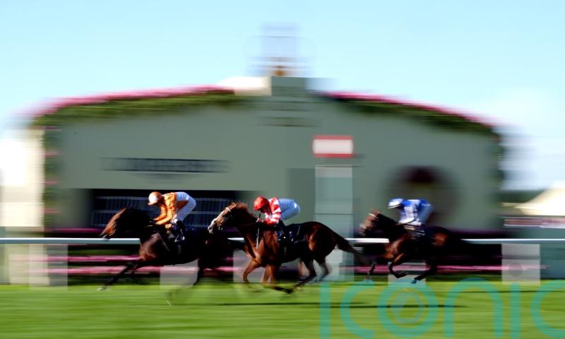 Charlton rues the one that got away with King’s Gambit a York possible
