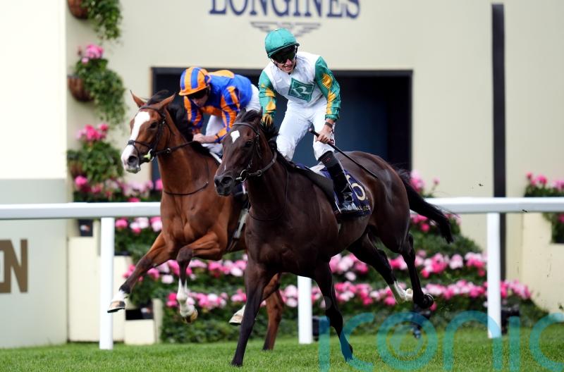 Porta Fortuna ‘in great form’ and set for Falmouth tilt