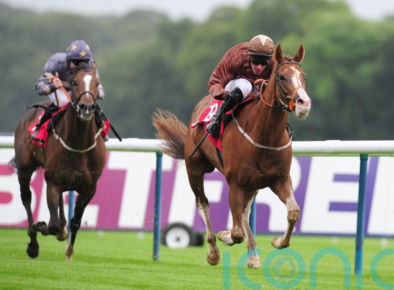 Top Notch Tonto thriving in new career
