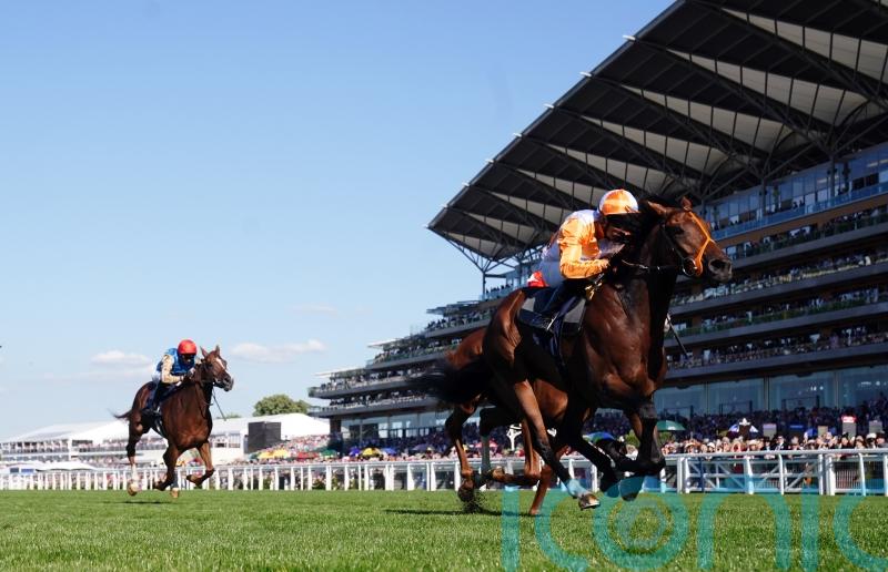 York and Deauville options for Eclipse absentee Jayarebe