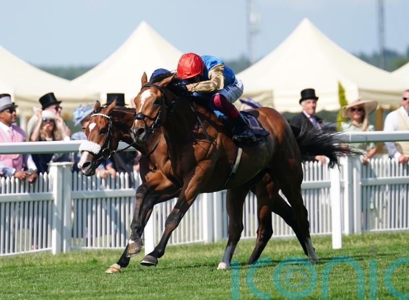Cadran a possible target for Courage Mon Ami