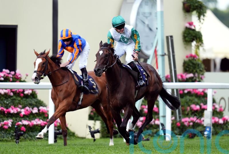 Connections ‘very happy’ with Falmouth favourite Porta Fortuna