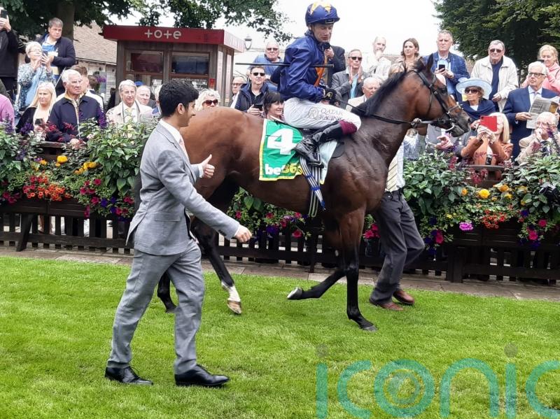 Involvement relishes step up in trip with Newmarket triumph
