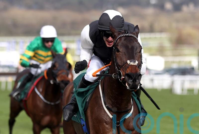 Flooring Porter returns to fences for Killarney spin