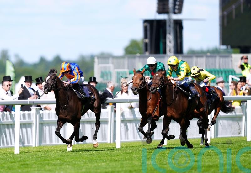 Auguste Rodin heads 11 confirmations for King George