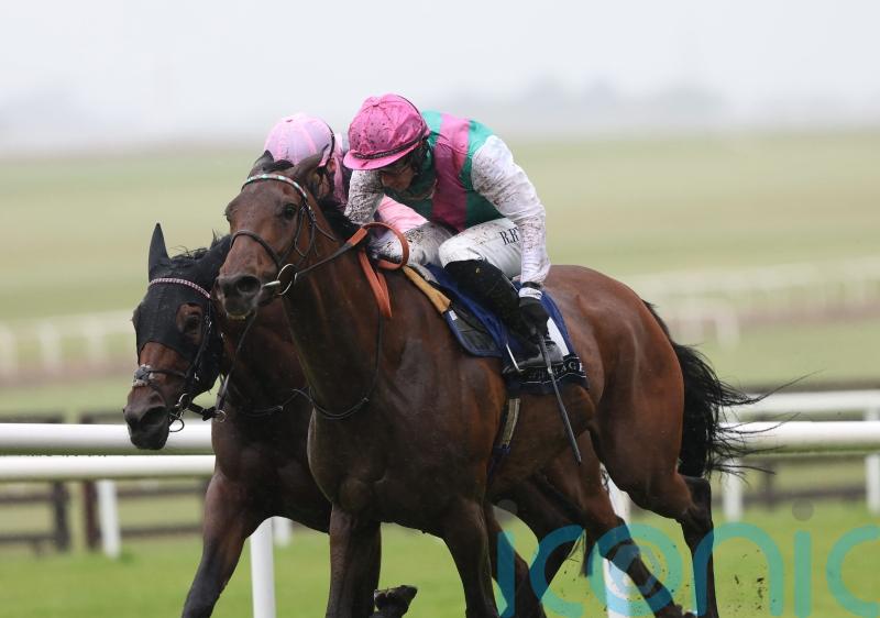 Bluestocking connections keen for ease in the ground ahead of King George bid