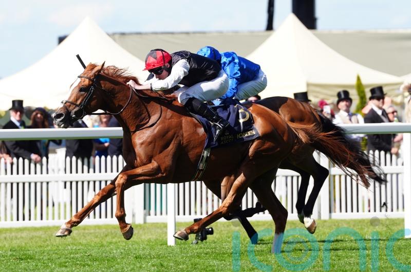 Superstar stayer Kyprios in top shape for Goodwood Cup