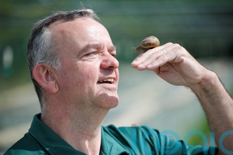Monaghan farmer plays matchmaker with ‘lonely hearts’ snails