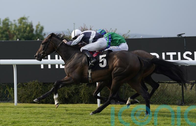 Dreamy start at Goodwood for O’Brien newcomer