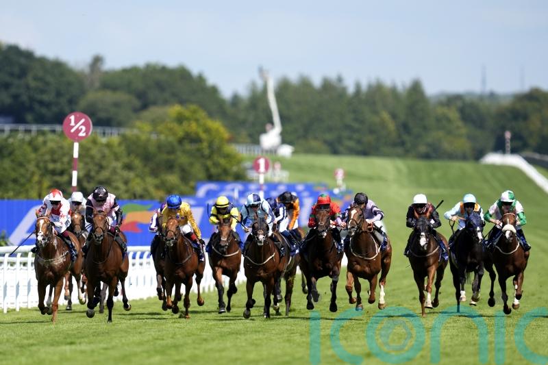 Toimy Son lights up Goodwood’s Golden Mile