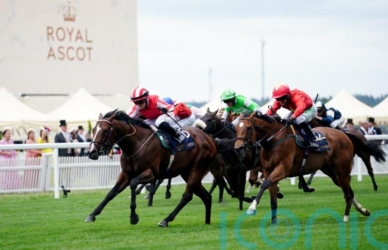 Bradsell back to his flying best at Deauville