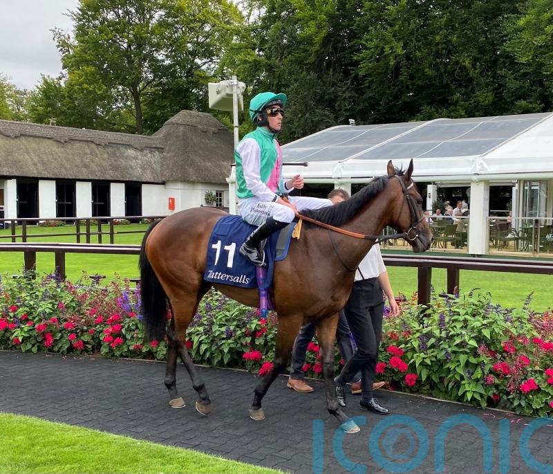 Tabiti takes the eye in Newmarket victory