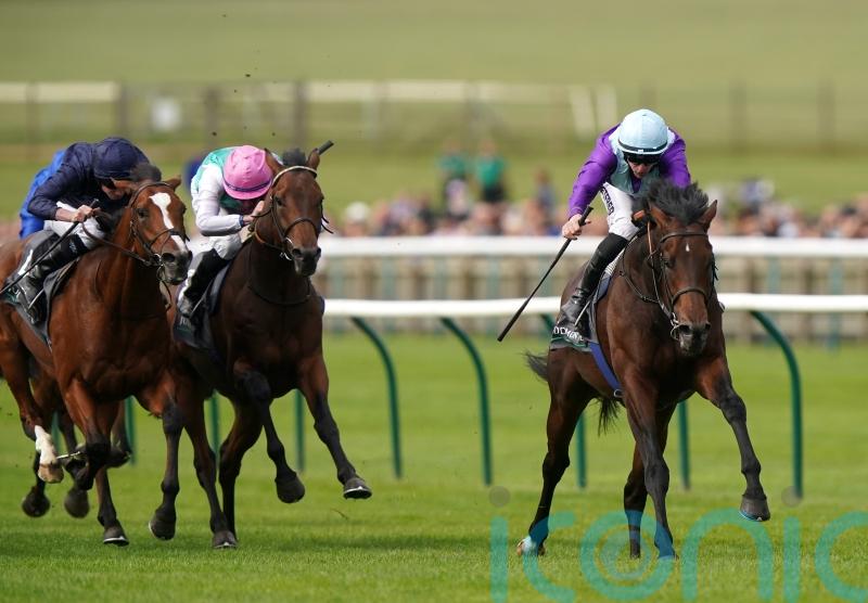 Cox wants dry spell ahead of Ghostwriter’s International bid