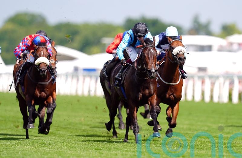 Dwyer counting down to Nunthorpe with Asfoora