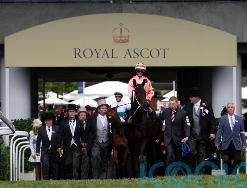 Australian legend Black Caviar dies from hoof condition
