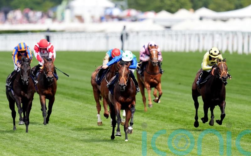Rashabar camp dreaming big ahead of Prix Morny test