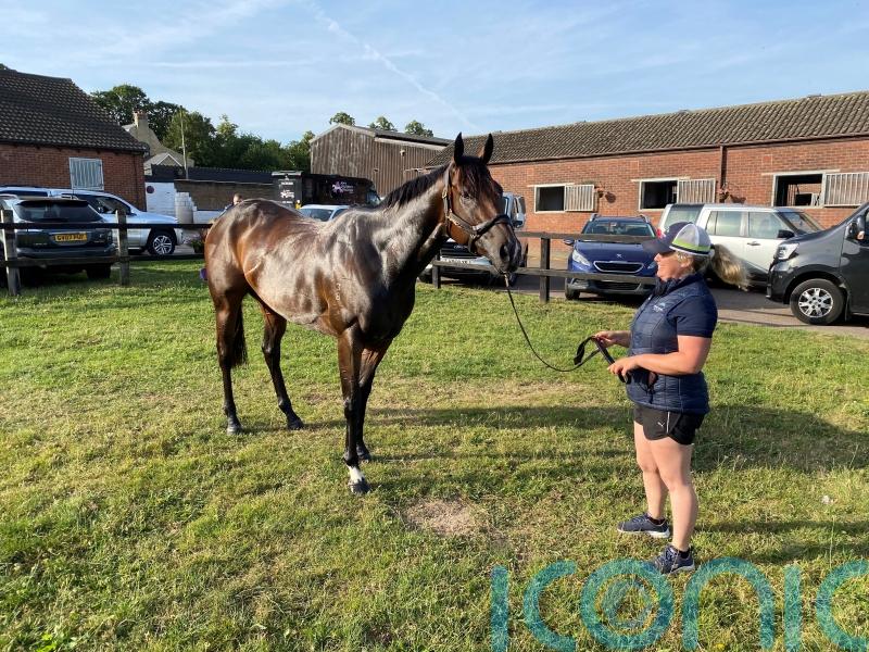 Asfoora’s faithful groom dreaming of more UK glory