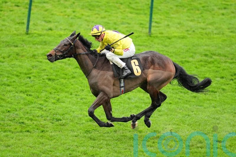 Galtres gold in Sea’s sights at York