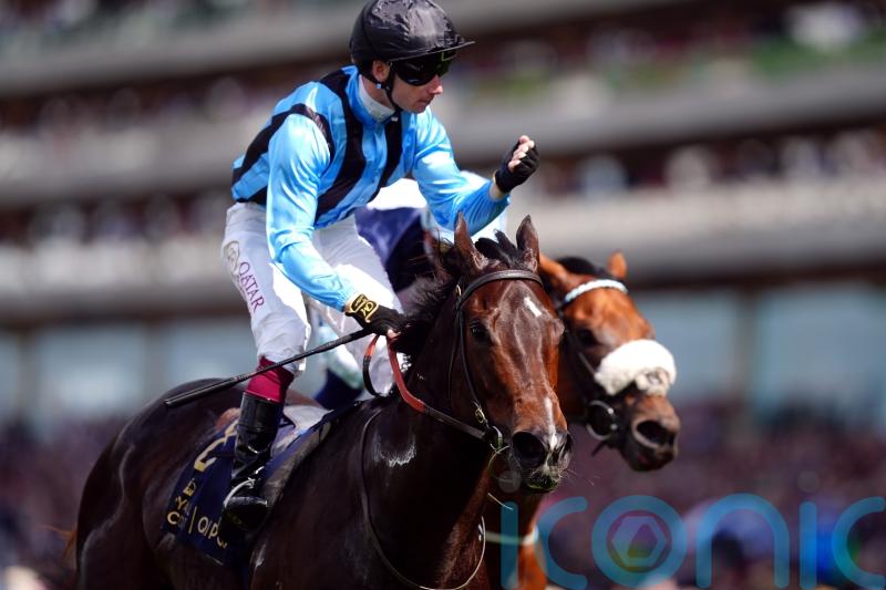 Dwyer fears Asfoora may now be ‘on the way down’