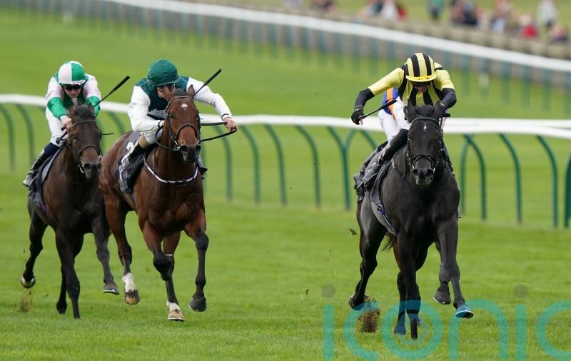 Vandeek retired to stand at Cheveley Park in 2025