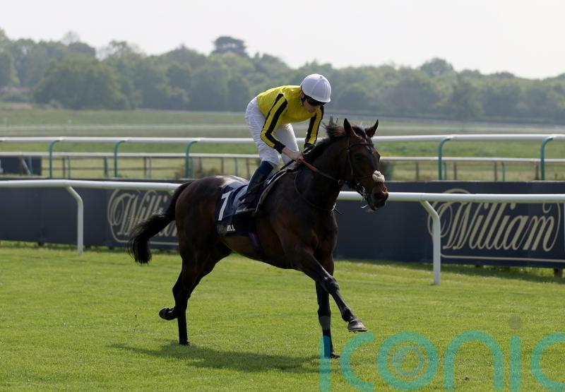 Ambiente Friendly in good shape following York disappointment