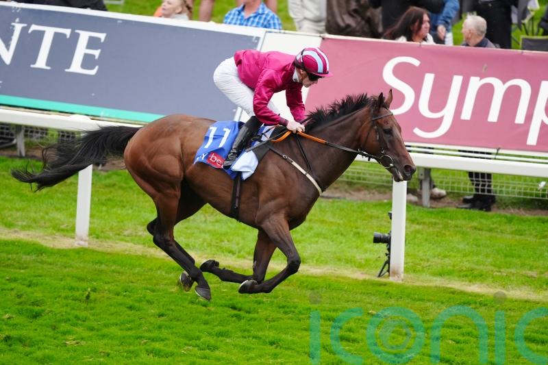 Extensio heading back over hurdles after York success