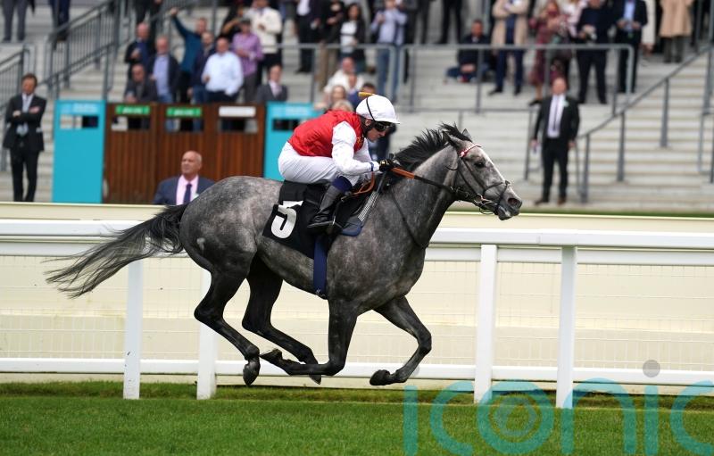 Haydock and Curragh on Cox’s shortlist for Jasour