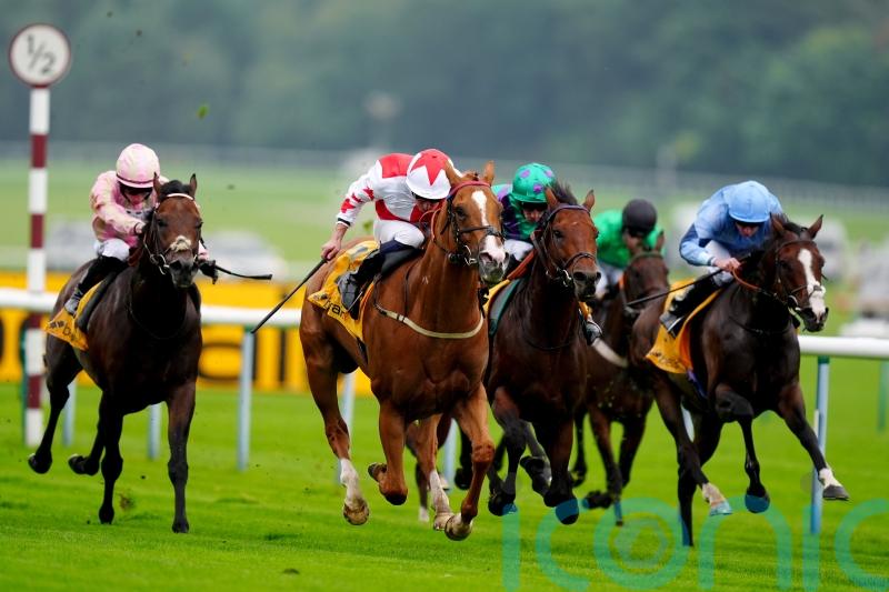 Holloway Boy makes long-awaited return to winner’s enclosure