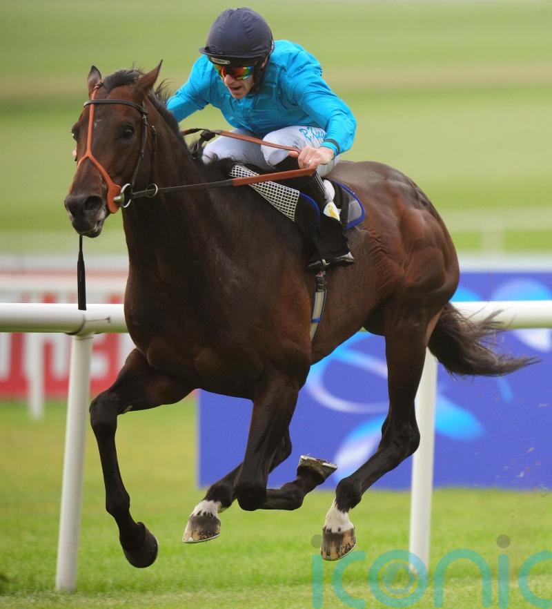 ‘Superstar’ Brown Panther will always be remembered fondly