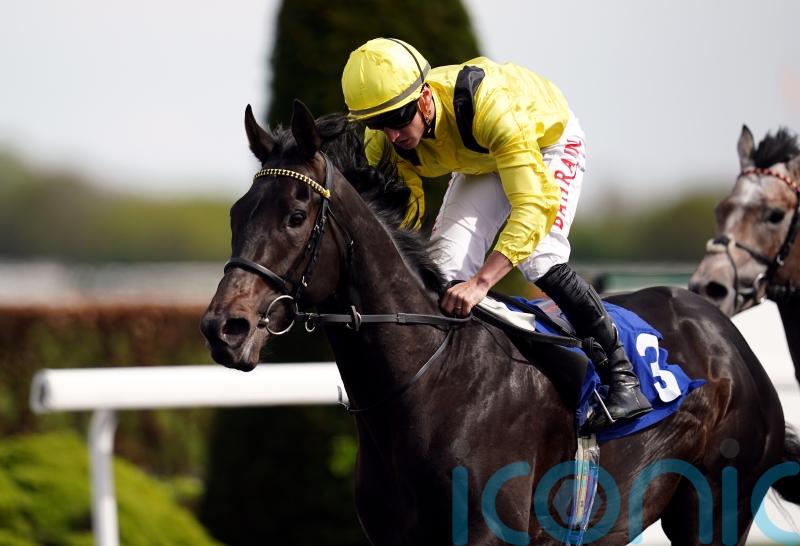 Marquand has high hopes for Maljoom in Solonaway