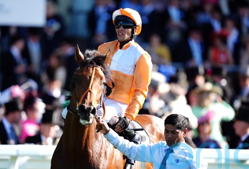 Paris the next stop for Meehan’s Jayarebe